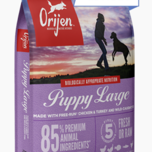 Puppy Large