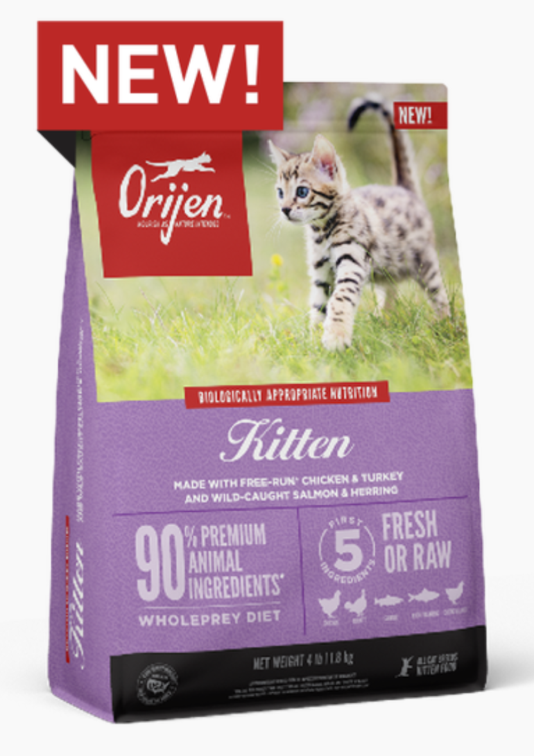 ACANA KITTEN