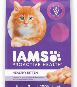 IAMS PLAYFUL KITTEN