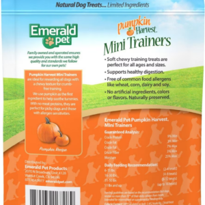 Pumpkin Harvest Mini Trainers Chewy Dog Treats - Pumpkin