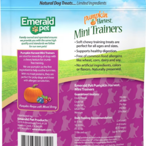 Pumpkin Harvest Mini Trainers Chewy Dog Treats - Mixed Berry
