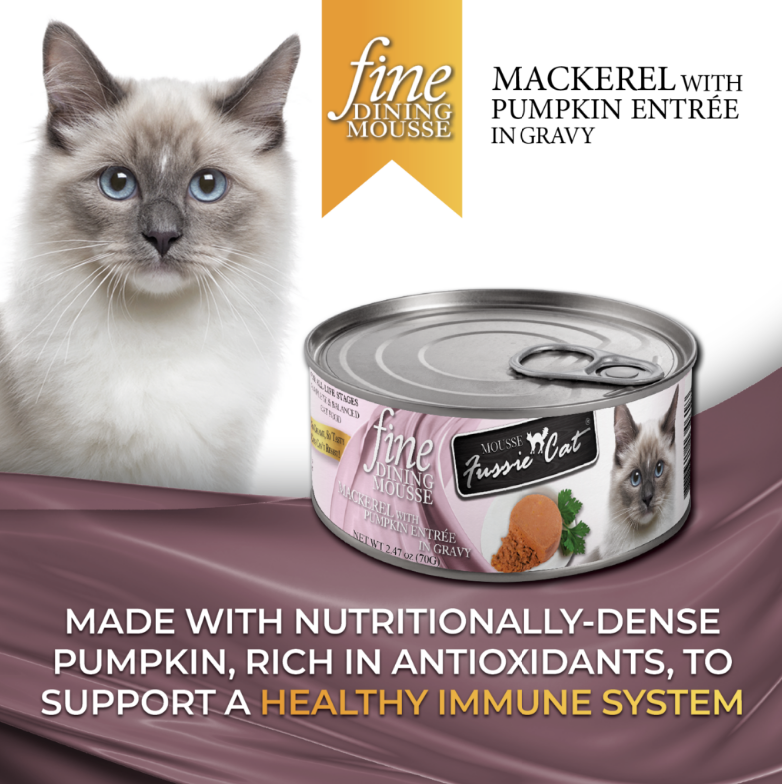 Fine Dining Mousse - Mackerel with Pumpkin