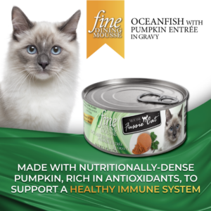 Fine Dining Mousse - Oceanfish with Pumpkin