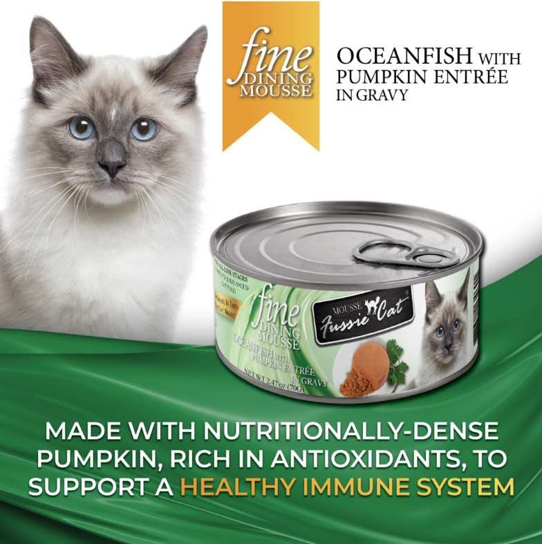 Fine Dining Mousse - Oceanfish with Pumpkin