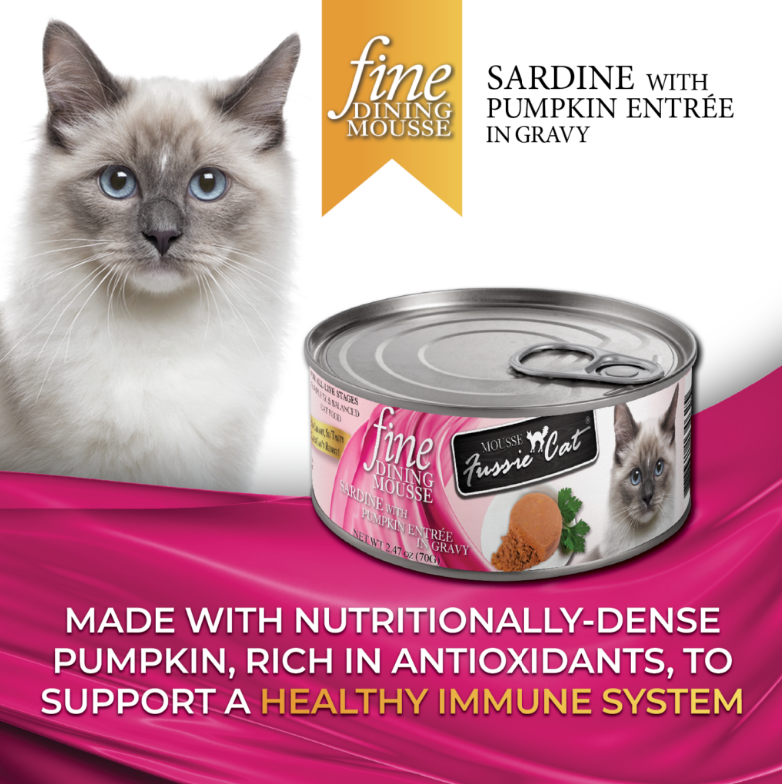 Fine Dining Mousse - Sardine with Pumpkin