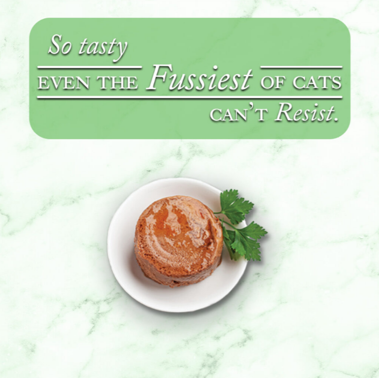 Fine Dining Pate - Oceanfish