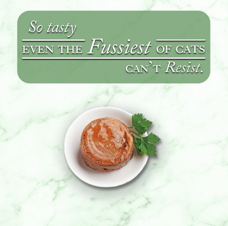 Fine Dining Pate - Oceanfish with Salmon
