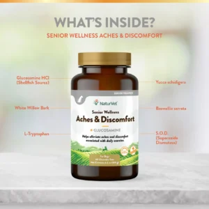 Senior Aches & Discomfort