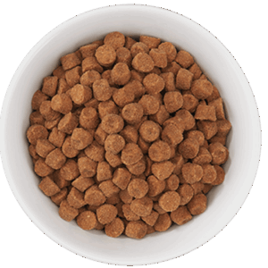 Born Carnivore Kibble - Chicken & Egg Recipe