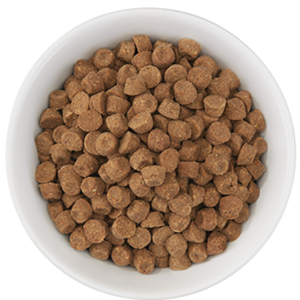 Born Carnivore Kibble - Herring & Salmon