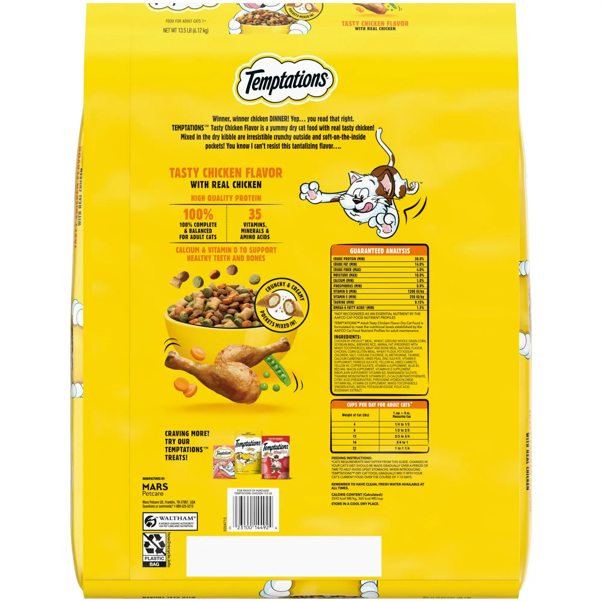 Tasty Chicken Flavor Dry Cat Food
