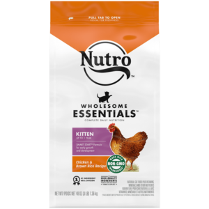 NUTRO KITTEN CHICKEN/RICE