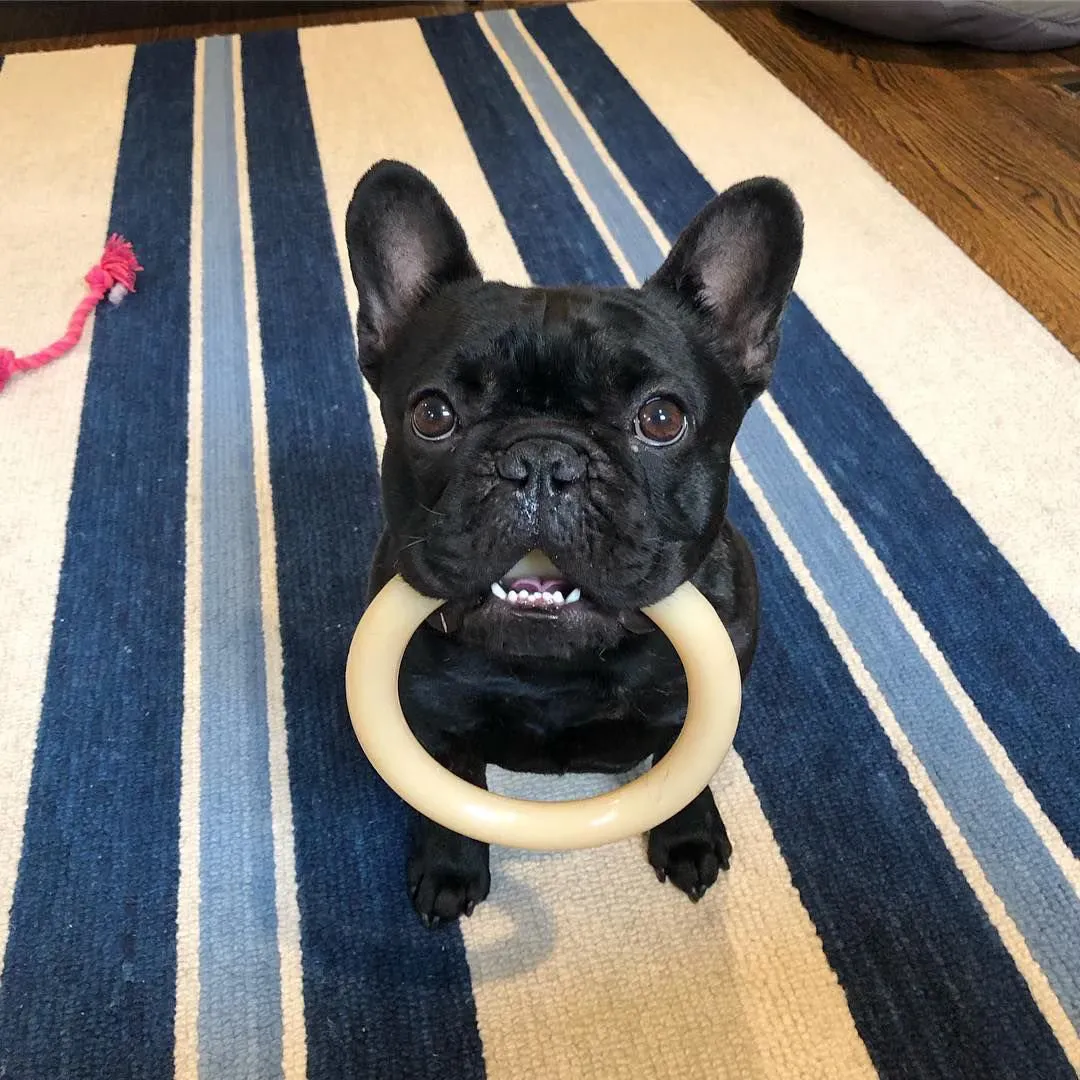 Power Chew Ring Original Flavor