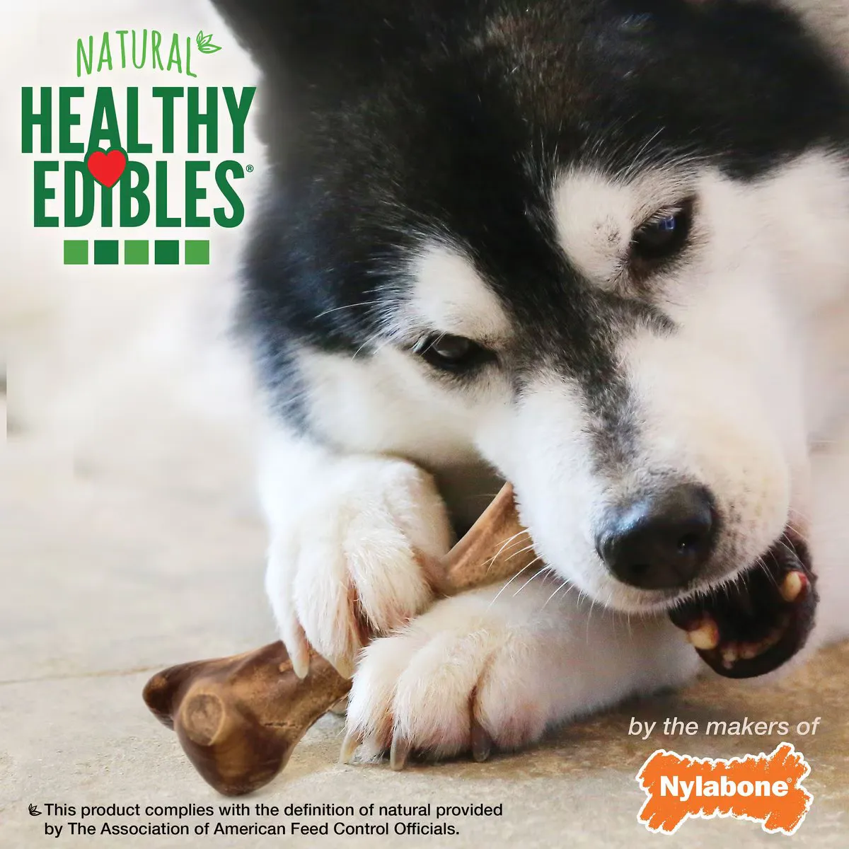Healthy Edibles Wild Bison