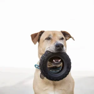 TireBiterII - Large