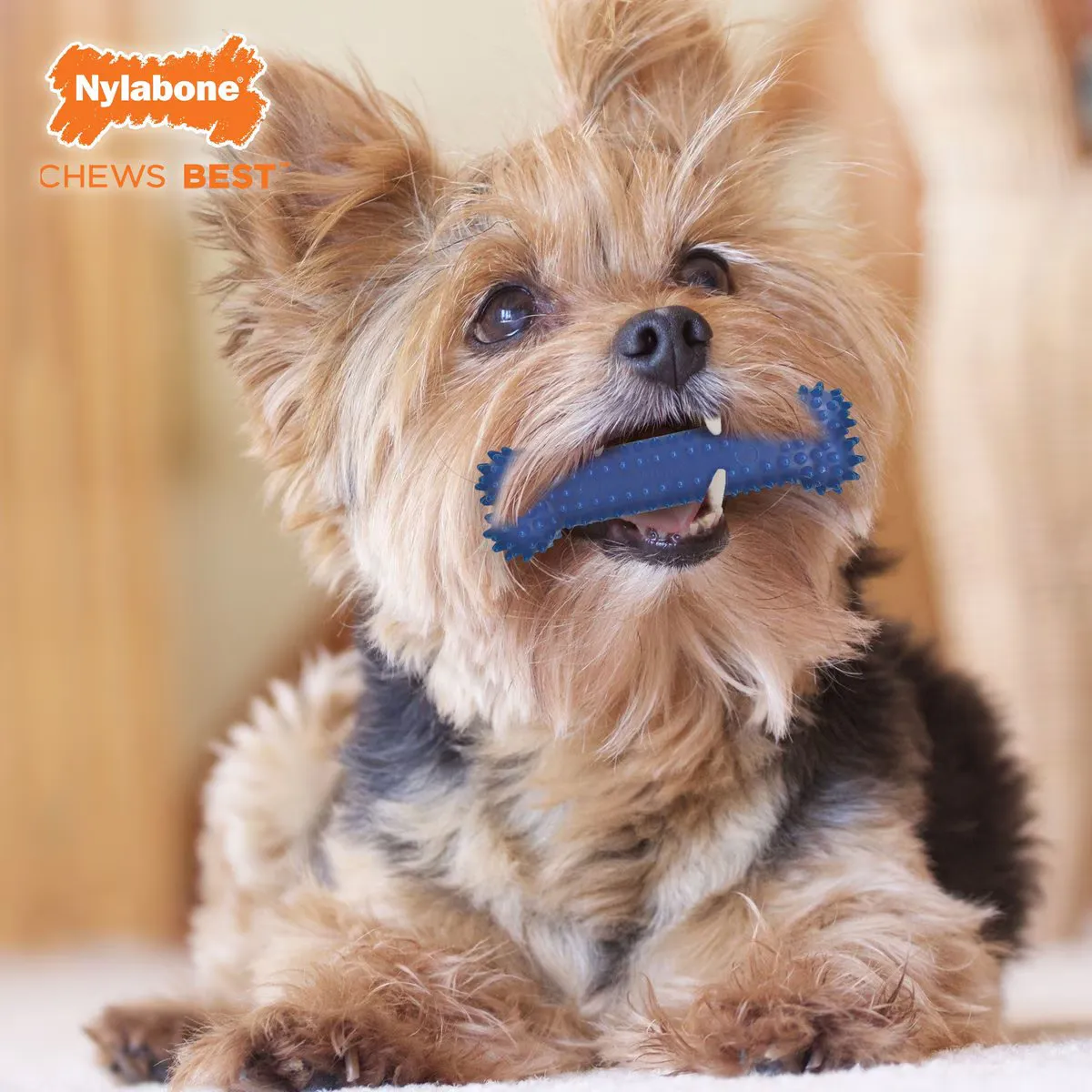 Dental Chew Bone - Chicken