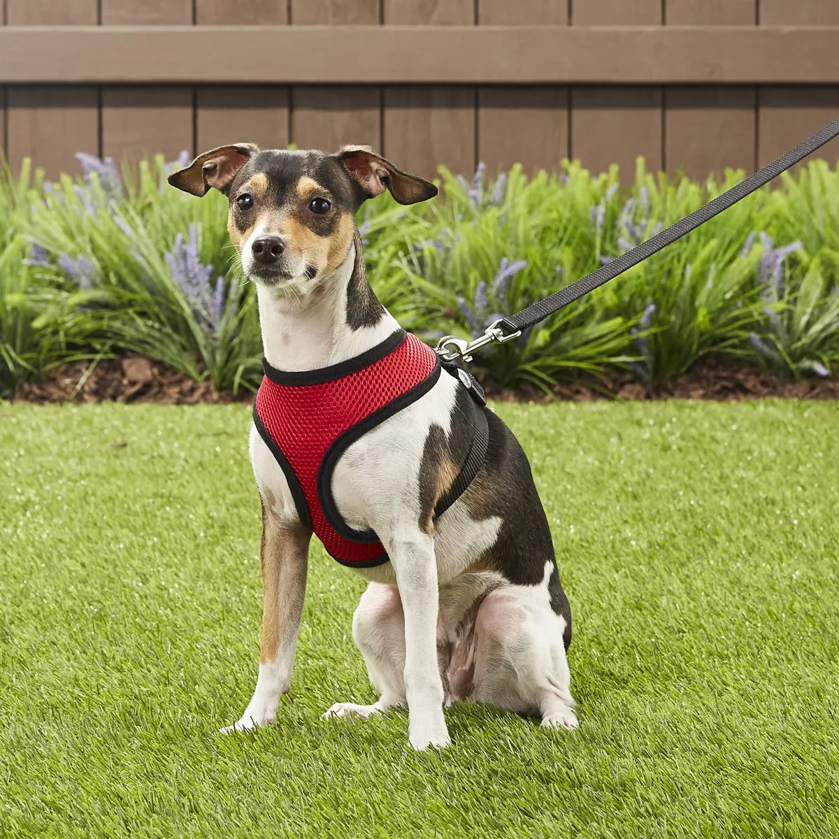 Comfort Control Harness - Red