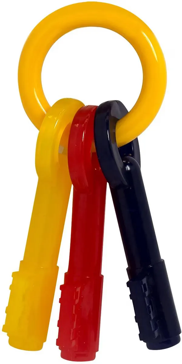 Puppy Chew Teething Keys - Bacon