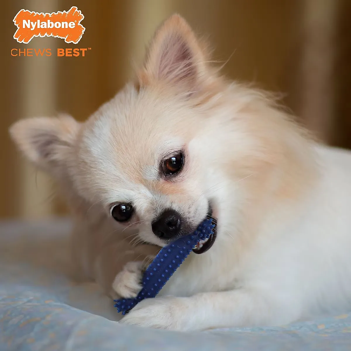 Dental Chew Bone - Chicken