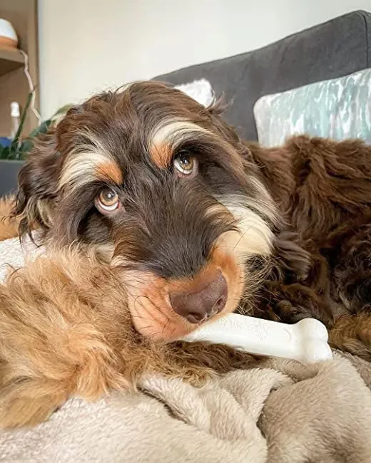 Power Chew Bone Chicken Flavor