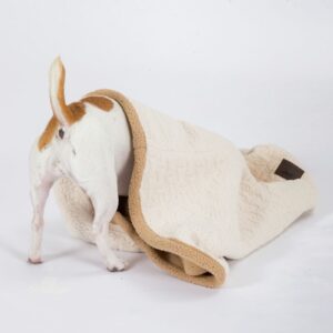 3-in-1 Burrow Bed - Cream