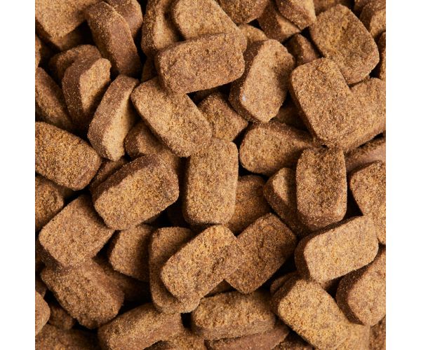 Daily Probiotic - Dog