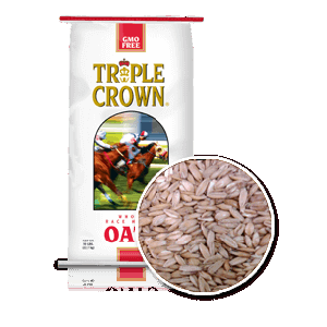 TRIPLE CROWN WHOLE RACE OATS
