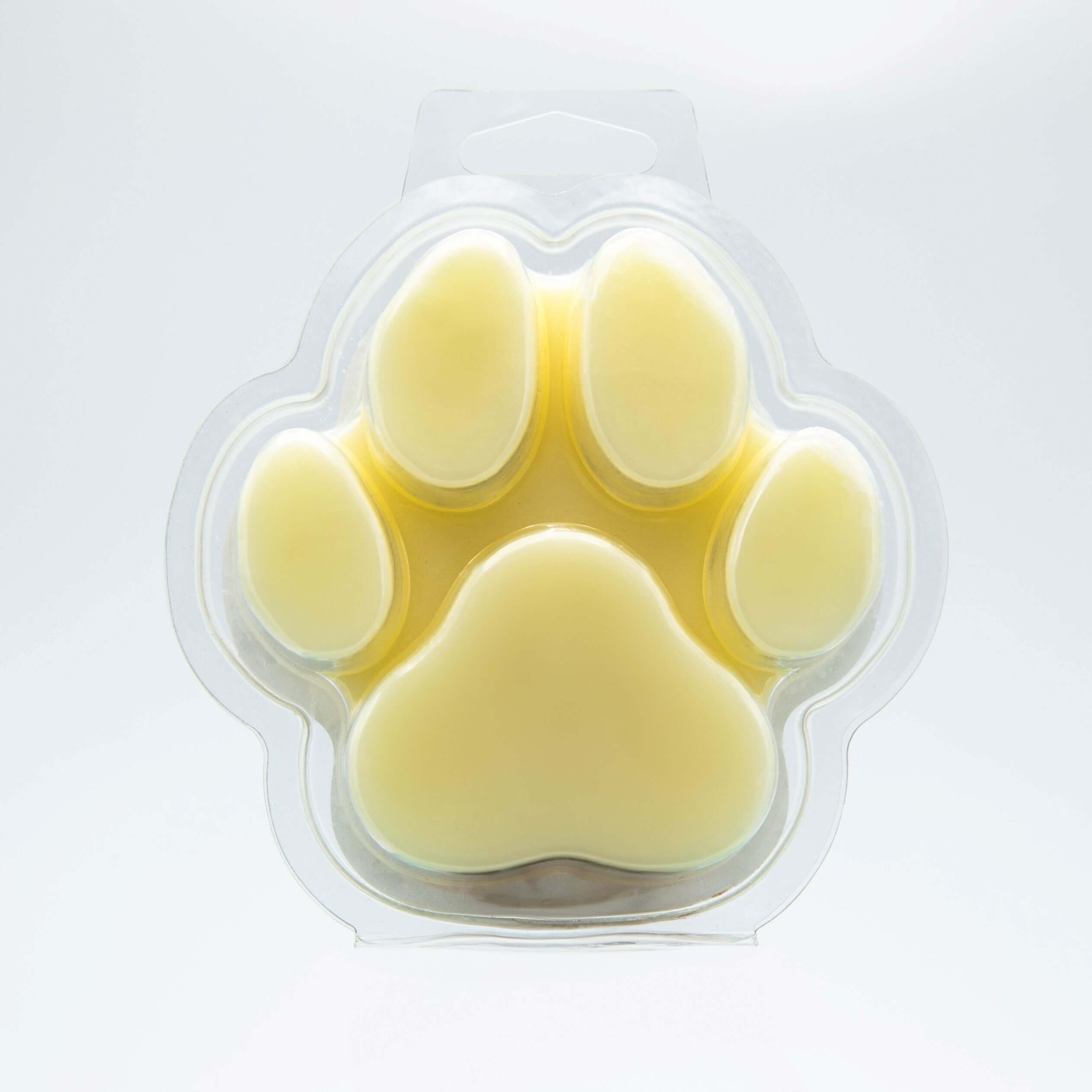 "You Got This!" Wax Melt - Citrus/Tropical Fruits